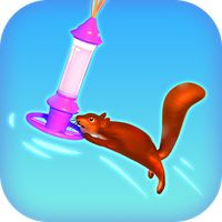 Squirrel Rain