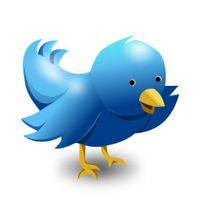 Загадки о животных 3. Птицы