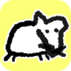 FerretForever