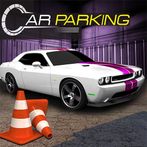 Advance Car Parking 3D - 300 L