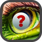 SERIESMANIA 2022 QUIZ