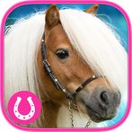 Brain games - Horse - Memory t