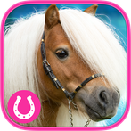 Brain games - Horse - Memory t