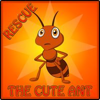 Rescue The Cute Ant