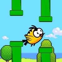 Flying Bird In Forest