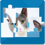 Cat Jigsaw puzzle