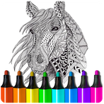 Coloring Book for Adults