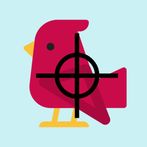 Bird Hunter: Shooting game