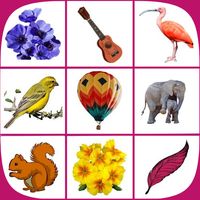 Picture Match Brain Game