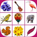 Picture Match Brain Game