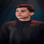 قصائد حسينية بدون انترنت