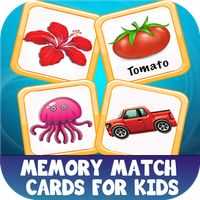 Memory Match Cards For kids