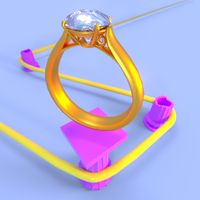 Bring The Ring