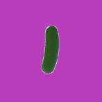 Pickle Run