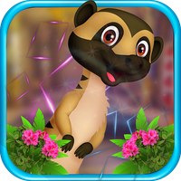 Kavi Escape Game - Cute Meerka