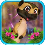 Kavi Escape Game - Cute Meerka