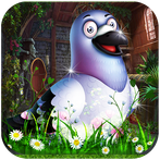 Candid Pigeon Escape