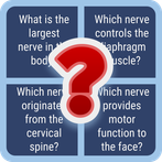 NerveQ Trivia Challenge