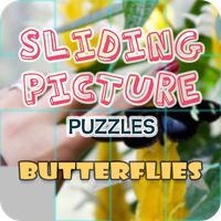 Sliding Picture Puzzles Butter