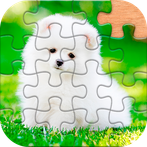 Jigsaw Puzzle Game - Puzzles