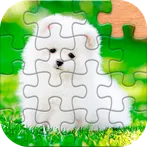 Jigsaw Puzzle Game - Puzzles