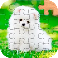 Jigsaw Puzzle Game - Puzzles