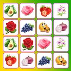 Remembery Game. Picture Match