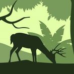 Real Wild Sniper Animal Hunter