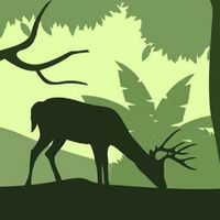 Real Wild Sniper Animal Hunter