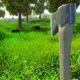 Dead Survival Island 2 - Dead