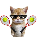 Cute Cat Meme Tennis