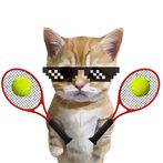 Cute Cat Meme Tennis