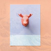 Jack Bauer's adventure