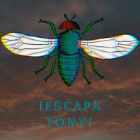 ¡Escapa Tony!