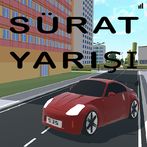 Sürat Yarışı 3D