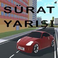 Sürat Yarışı 3D