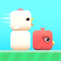 Square Bird Friends
