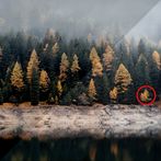 Find 5 Differences - Nature