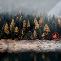 Find 5 Differences - Nature