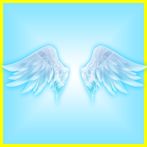 Falling Into The Sky