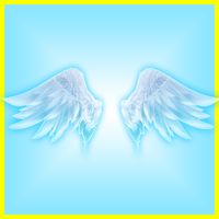 Falling Into The Sky