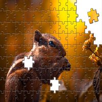 Squirrels Jigsaw Puzzles