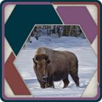 HexSaw - Yellowstone