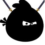 Ninja Bird