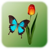 Butterfly Tap