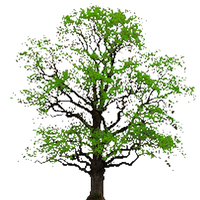 나무 키우기:2D RPG 육성