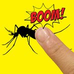 Esmagar Mosquito – zumbido