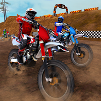 Dirt Track Bike Racing
