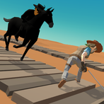 Zorro Race