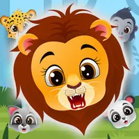 Wildlife Junction